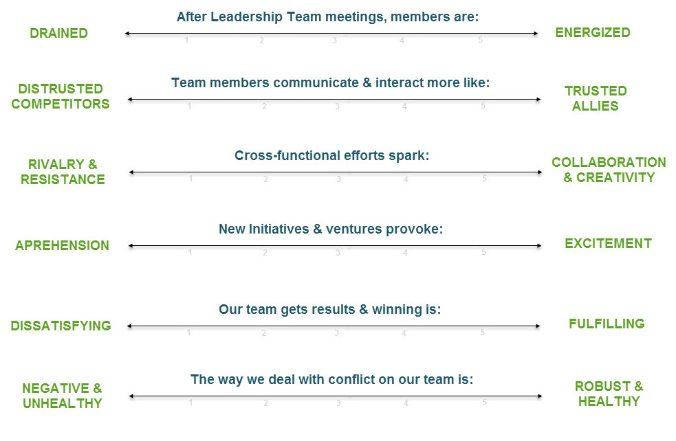 leadership team development scale