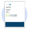 DISC Agile EQ Profile