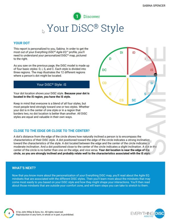 DISC Style