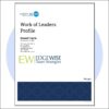 DISC Work of Leaders Profile