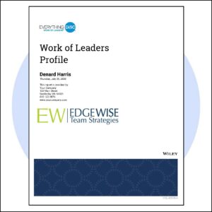DISC Work of Leaders Profile