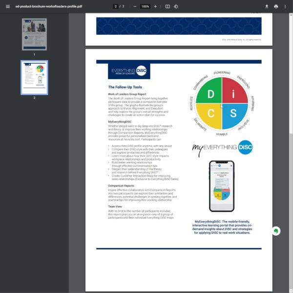 Disc Work of LEADERS